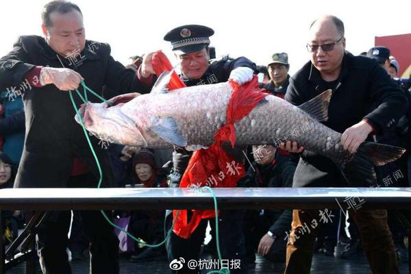 娱乐新鲜派｜周锐：愿把生活写成歌_挂机宝租用