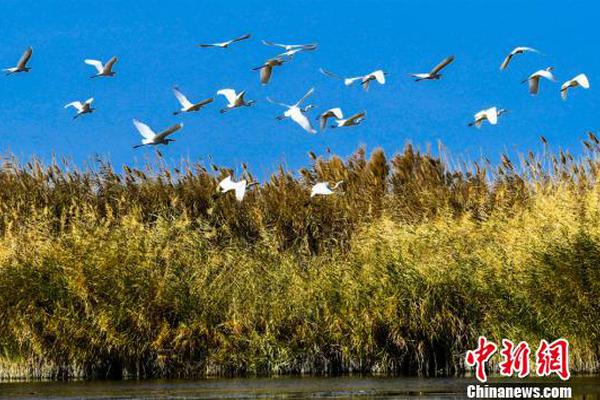 山东云服务器哪家好_迷你哆挂机宝