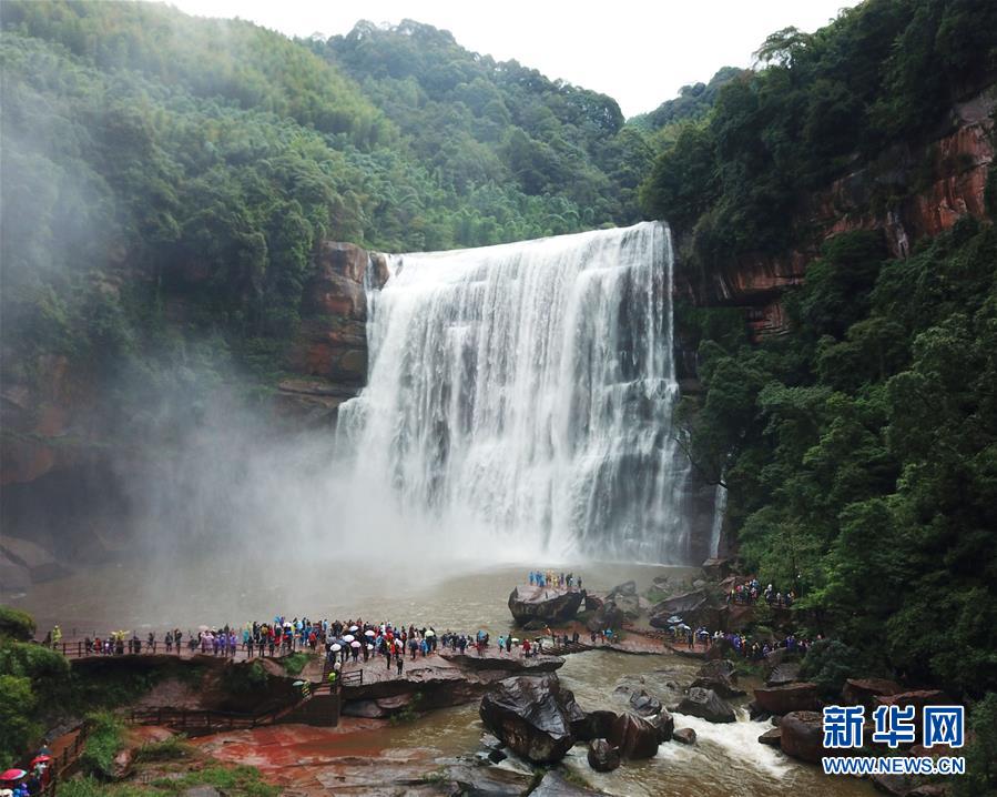 49岁陈浩民承认整容自曝:别人都做我不做很亏