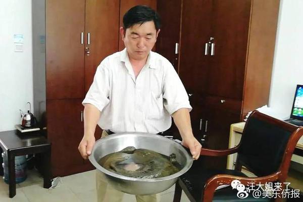 暴雪策划工资太好赚?玩家创意直接拿来用,居然还把这款..._2026 CN2服务器