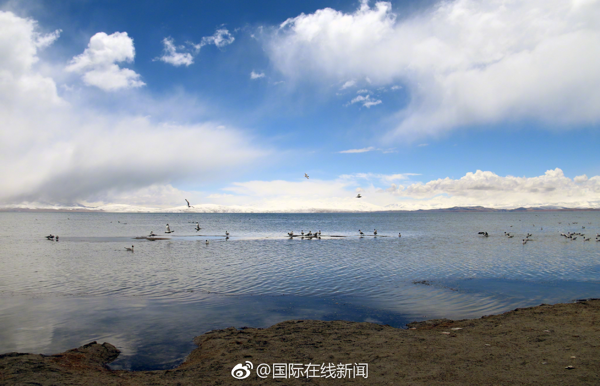 V社自研VR疑似不在中国发售_高并发云服务器