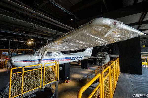金毛直立行走爬楼梯引争议 网友:主人太无知_云电脑黄金镜像