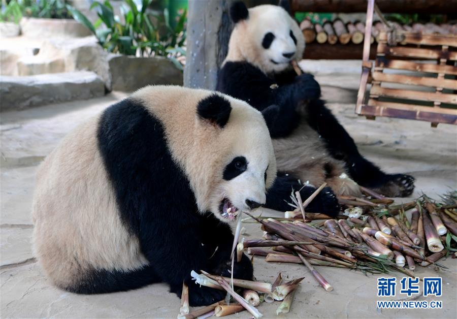 美国一大学发生多起枪击案 造成至少2死4伤_云服务器4核8G