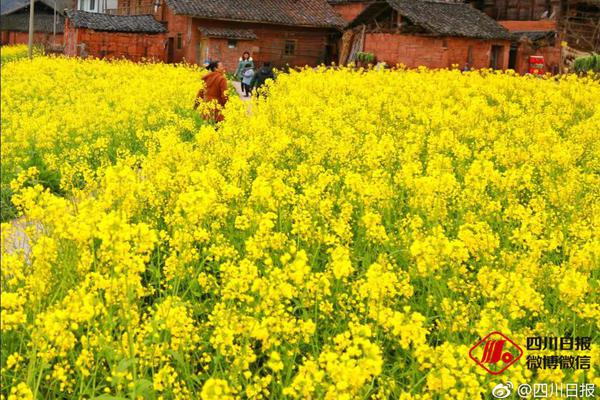 探秘国家海博馆：全馆游览需6小时　故宫藏品有望来展