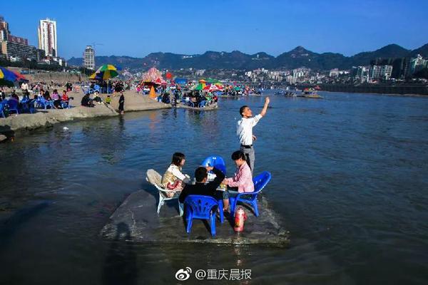 企鹅蛋为何不结冰?帝企鹅爸爸已经进化成