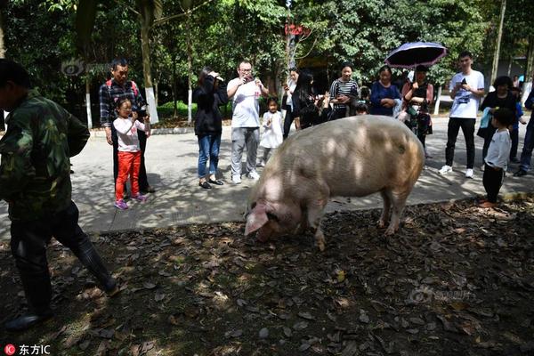 中国人平均每天工作9.2小时 媒体:真的太爱劳动了_云电脑挂机刷资源