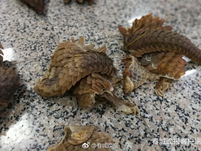 安徽有一个温泉镇,这里的人们不仅免费泡温泉,洗衣服..._CN2服务器不卡顿