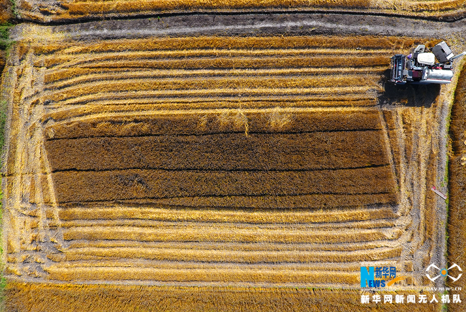 广告周CMO谈与网易战略合作_cloud computer
