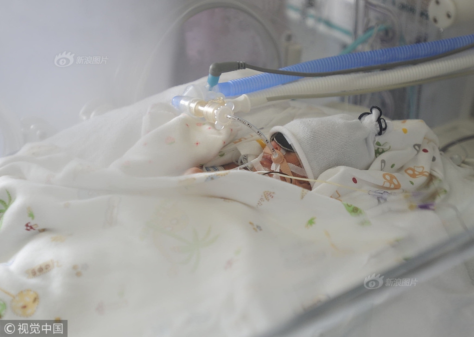 一口价域名店铺是什么_云电脑创业团队