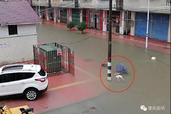 五年赌约终于落幕！董明珠赢了雷军，能赢下未来吗？