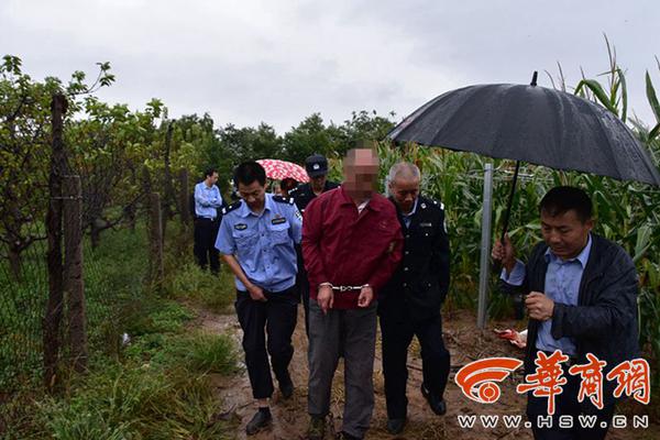 价格因素如此重要？二手车交易价格主要集中在10万元以下_CN2服务器月付