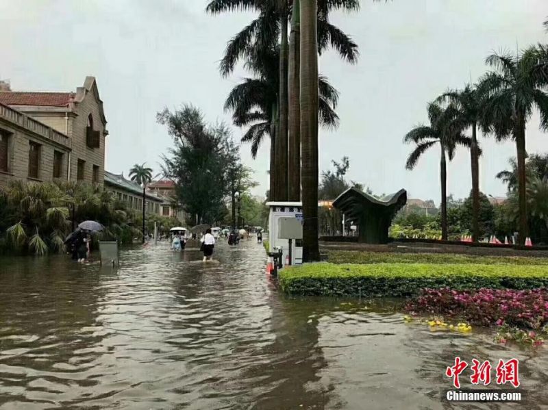 许志安,为什么背着郑秀文爱别人_AI训练服务器