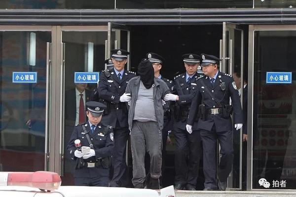 接受连续100天手机摄影挑战，赢认证称号