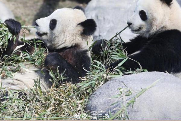 “假怀孕”你知道否?赶紧来了解下!_云服务器区域