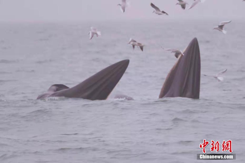 零度角 | 韩国郑智19岁登世界杯 如今成亚洲历史金靴_跨境云电脑