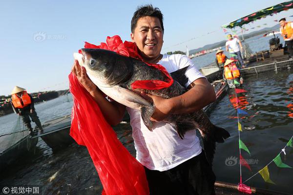 爆款活性炭暖脚器,时尚暖脚新方式_云电脑托管