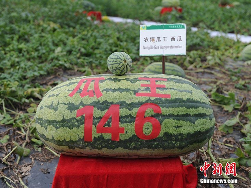今起全面降低社保费率 财政部：不影响养老金发放_华北云服务器