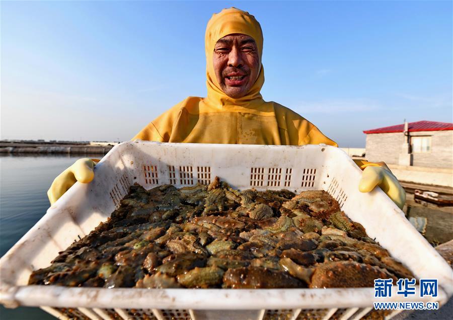 "I am made in China"刷屏 刘国梁却这样评价马龙_挂机宝单线