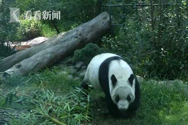 鼓励个人出租住房 苏州允许出租房打隔断_国内vps