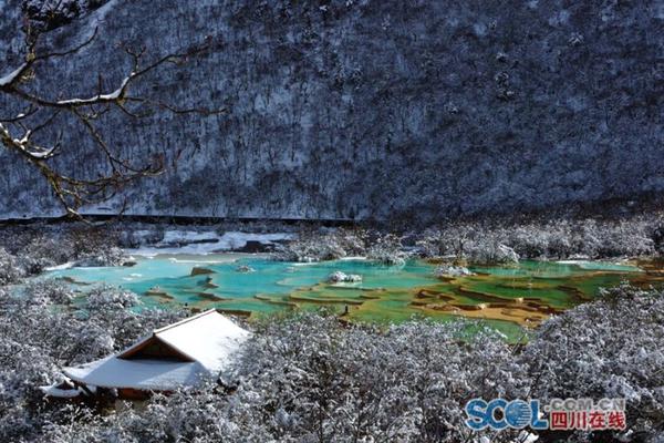 5月新规速览!这6地实施交管新规定,影响你的五一出行_金山云服务器