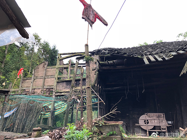 山东共有高校145所居全国第三_CN2服务器配置推荐