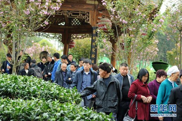 为什么成功的人里,超过70%都是内向者?_cloud computer