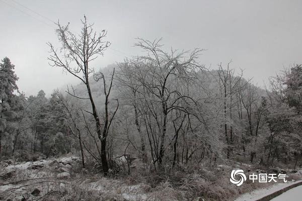 利物浦足球流氓将亚裔老人扔水池 事后还种族歧视_CN2 GIA线路优势