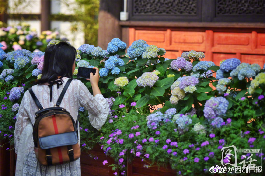 雷克萨斯拟在中国等地推出首款纯电动车_CN2服务器机房