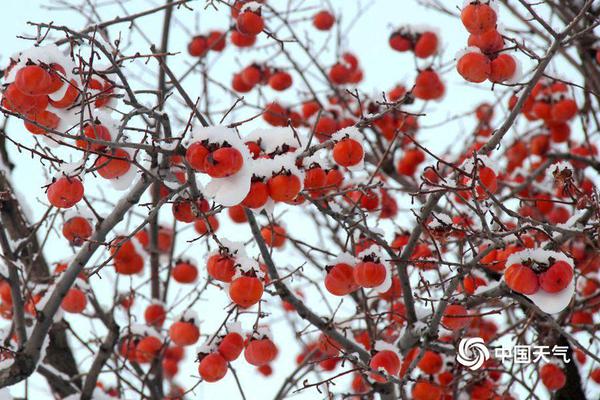 《桃花源记》中的历史密码_重庆云服务器