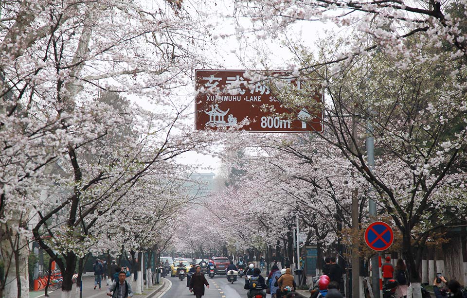搜狐2019年度最受喜爱童书评选 投票抽大奖