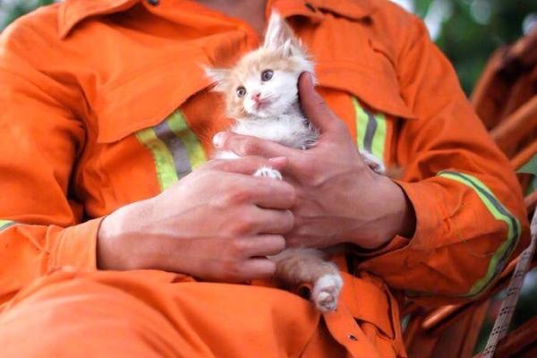 苏州楼市再现抢地抢房 这一轮将狂奔多久？_挂机宝挖矿
