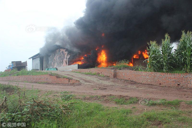 香港助推构建粤港澳大湾区世界级机场群_CN2直连服务器