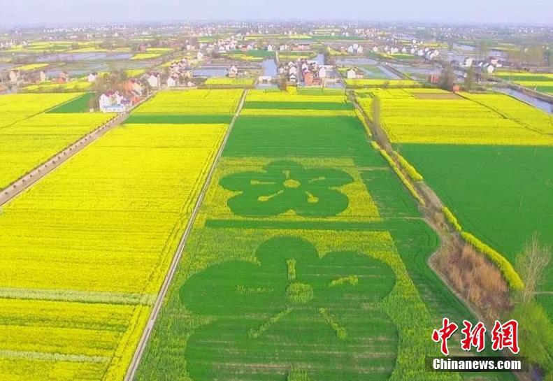 港科大实习生虐猫?腾讯:核实后将终止实习_云电脑定制