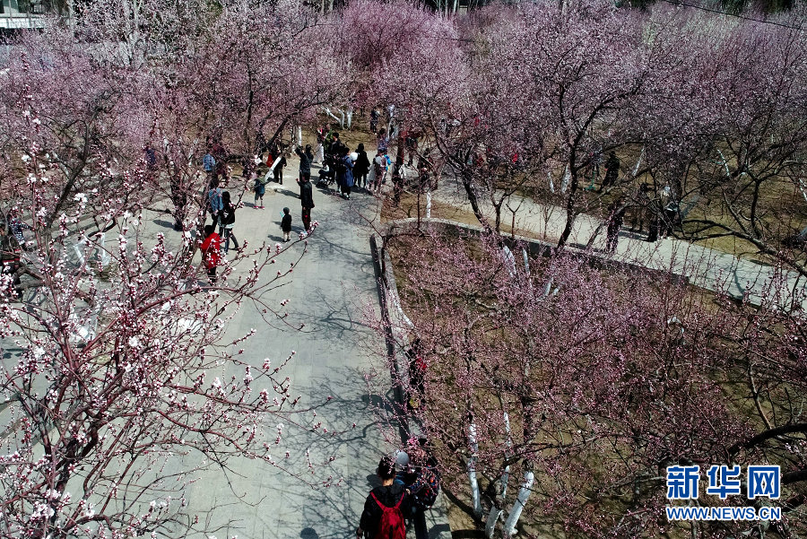 房市地市双升温 中国二线城市“春风”未停_百度智能云服务器