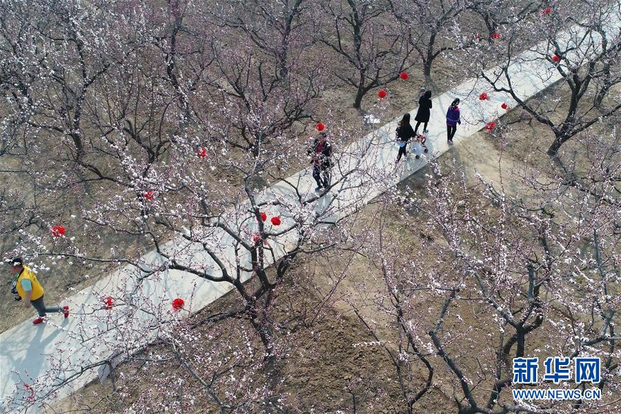 王健林:大连足球必重返亚洲一流 正建专业足球场_CN2 API服务器