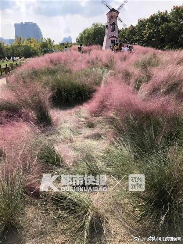 遇到嫉妒你的人怎么办？专家出招对付小人_云电脑多开