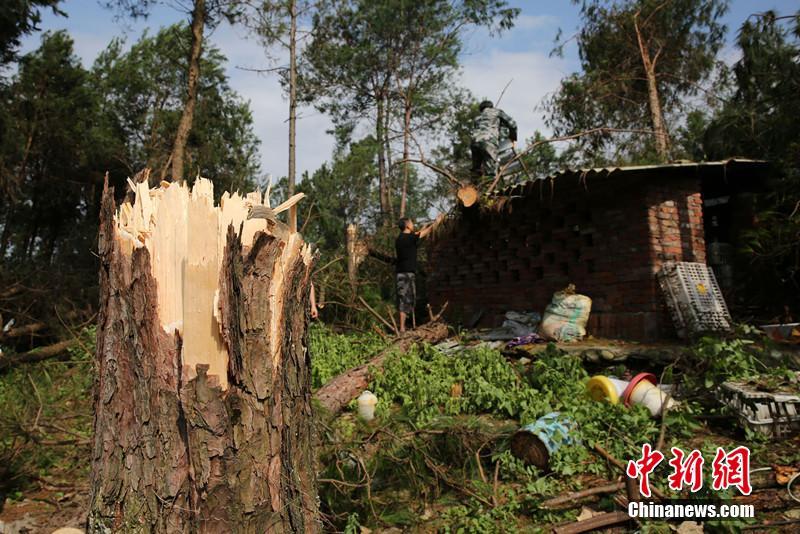 高校师生研发眼球控制轮椅_9929线路