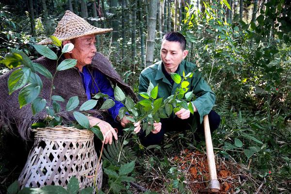 《僵尸世界大战》评测:与其模仿他人,或许做电影续集_挂机宝CMIN2