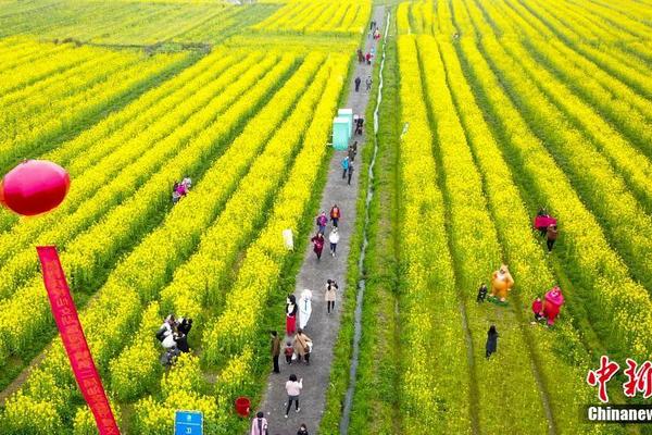宿州市长:每天看10次大气质量才踏实_美国CN2服务器推荐