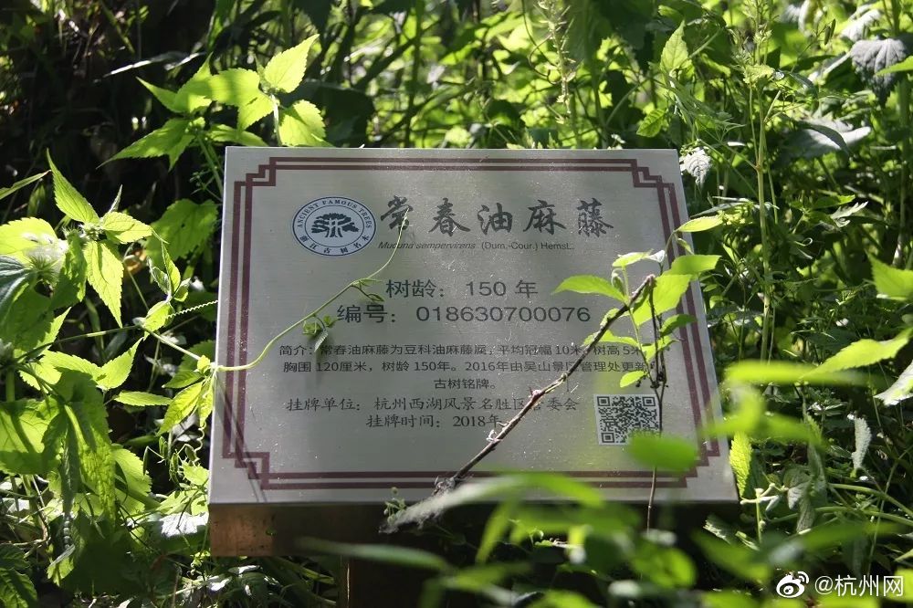 SE扩建 将能使用尖端开发技术_CN2 GT线路特点