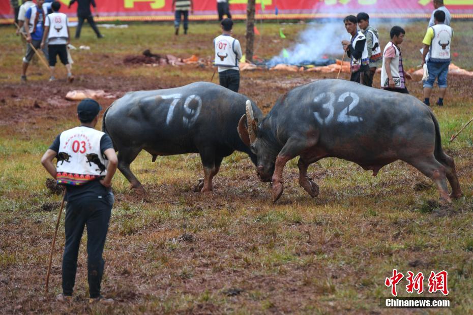 在这么伟大的团队里面你是不可能不努力的💪💪💪再次恭喜我们团