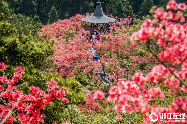 欧冠-范德贝克破门内雷斯中柱 热刺主场0-1阿贾克斯_9929回国线路