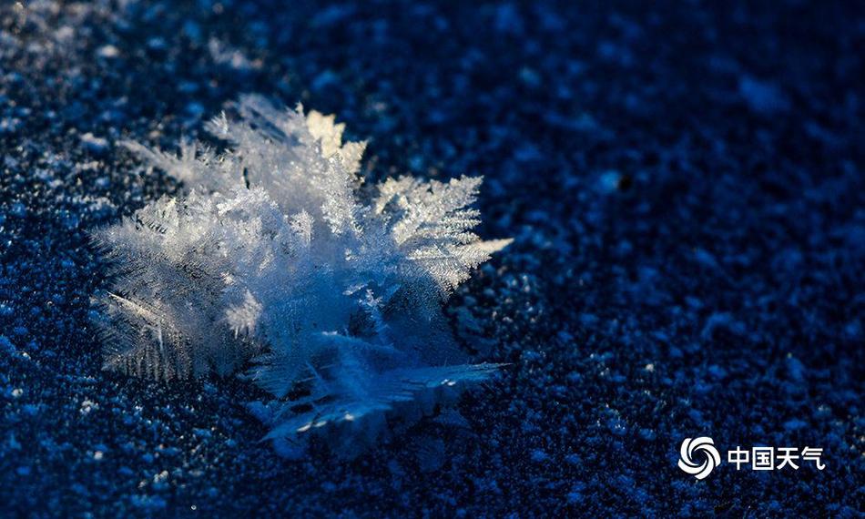 西班牙宫殿改建的酒店_9929高防服务器