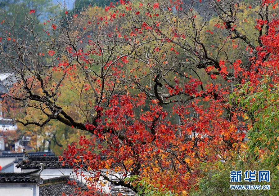 中国人平均每天工作9.2小时 媒体:真的太爱劳动了_挂机宝客服