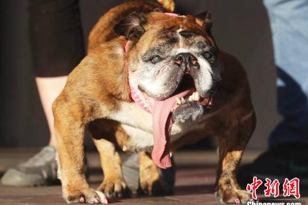 开心超人联盟之谜之城伽罗打算用音乐引出水怪神秘五大谜题之旅_云电脑私有化