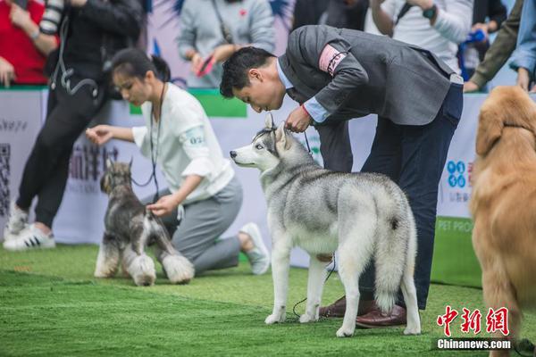 江苏盐城化工厂爆炸厂区被完全摧毁 核心区现巨坑_挂机宝集群