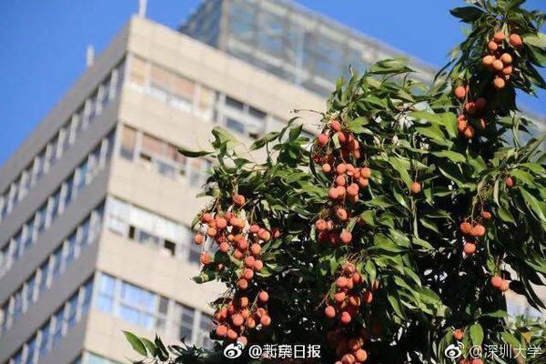 摄影师镜头下的北京，刚柔并济，恬淡悠远
