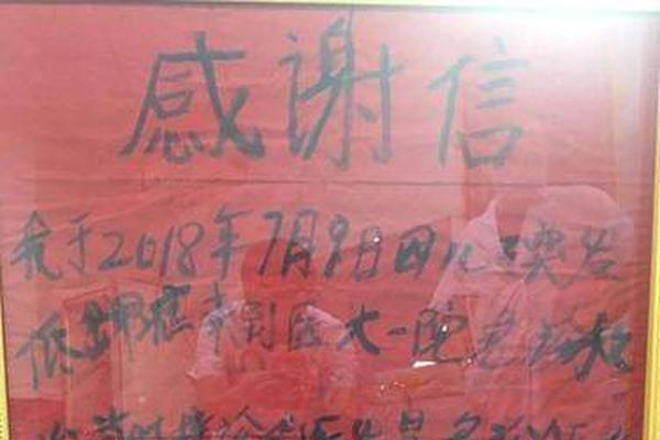 外媒：印度尼西亚总统佐科已决定迁都至爪哇岛_挂机宝带防御