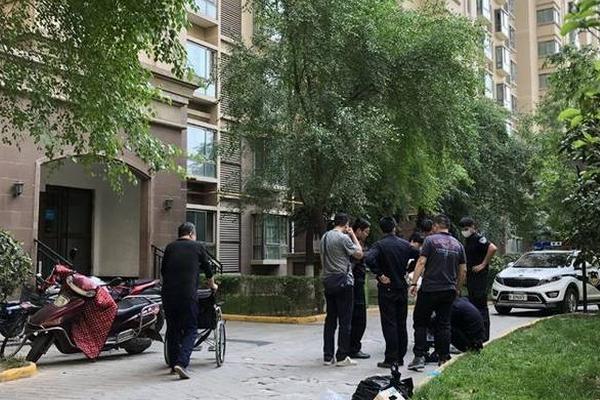 刺猬“偷”到派出所来了