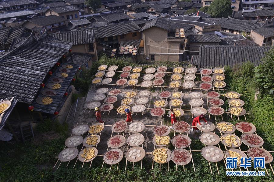 电鳗如何杀死一匹马?_CN2服务器不卡顿